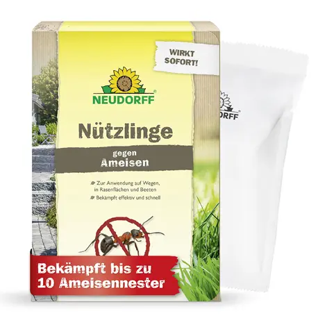 Neudorff SF Nematoden gegen Ameisen 10 m²