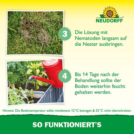 Neudorff SF Nematoden gegen Ameisen Ausbringen