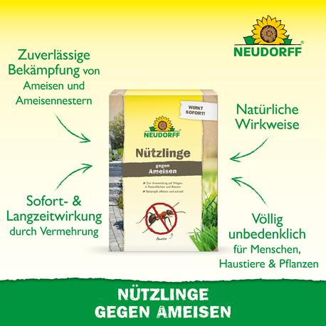Neudorff SF Nematoden gegen Ameisen Vorteile