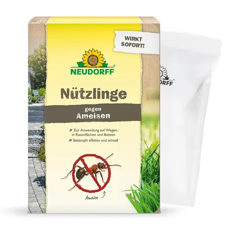 Neudorff SF Nematoden gegen Ameisen