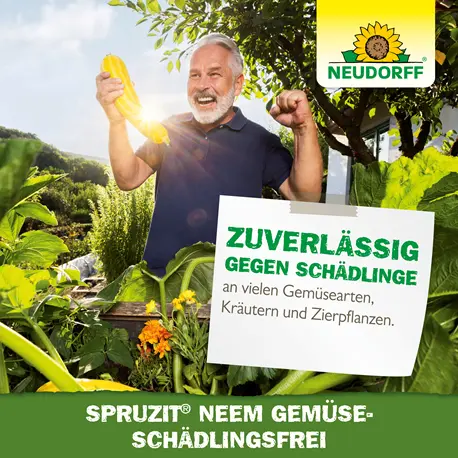 Neudorff GemüseSchädlingsfrei zuverlässige Wirkung