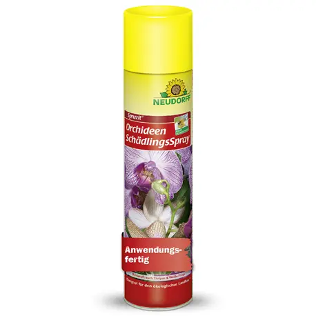 Neudorff Spruzit Orchideen SchädlingsSpray 300 ml