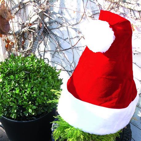 Nikolausmütze für Pflanzen Weihnachtsdeko