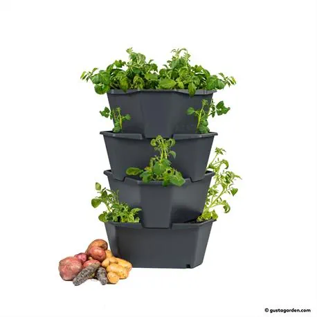 Paul Potato Kartoffelturm mit 4 Ebenen