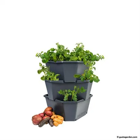 Paul Potato Kartoffelturm Starter