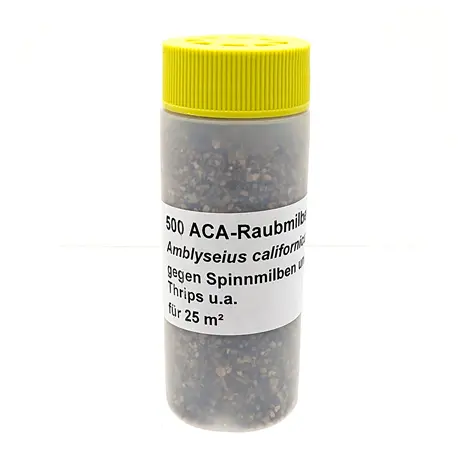 Amblyseiulus californicus als Streuware in Dose