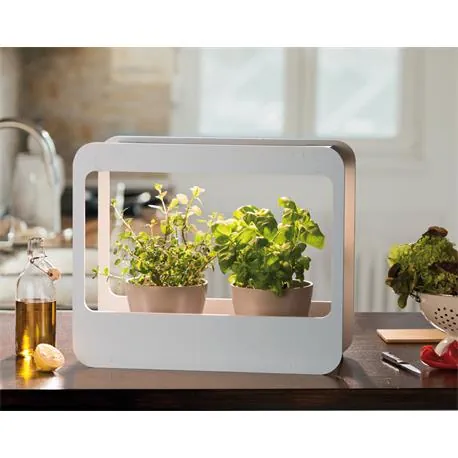 Romberg Home Garden Mini-Garten-Set