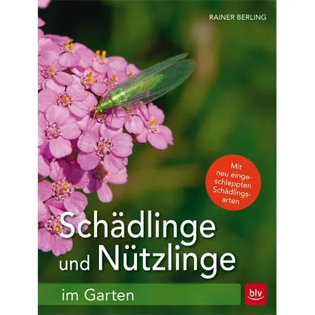 Schädlinge und Nützlinge im Garten erkennen