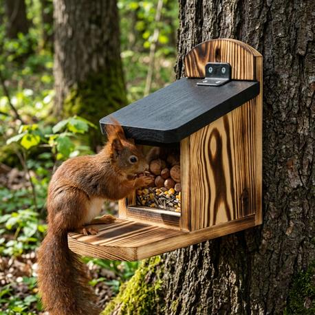 Sparset für Eichhörnchenfutter +  Futterautomat