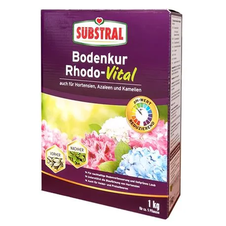 Substral Bodenkur Rhodo-Vital
