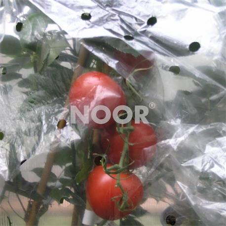 Tomatenhaube 0,65x10m