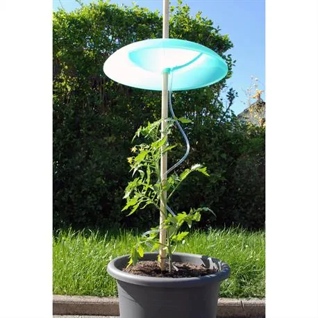 Tomatenhut-Basis-Set