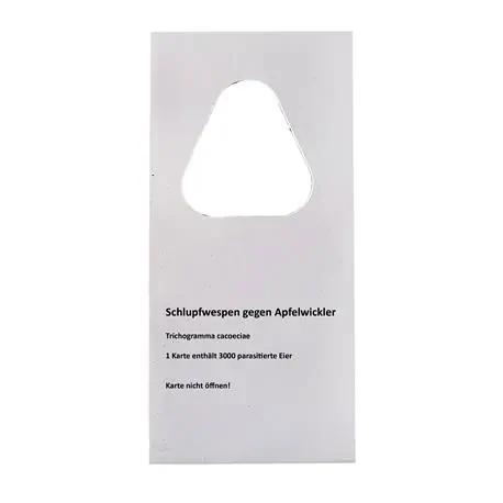Schlupfwespen gegen Apfelwickler