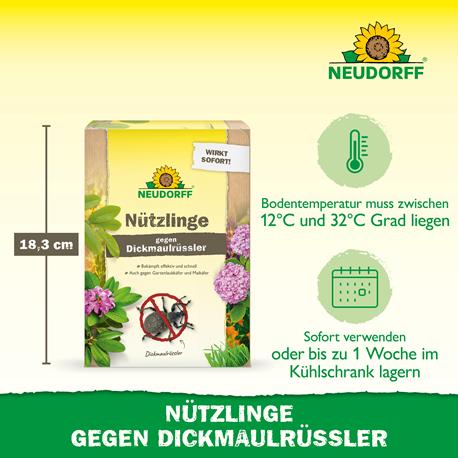 Neudorff HM-Nemtoden gegen Dickmaulrüsslerlarven Vorteile