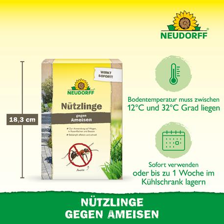 Neudorff SF Nematoden gegen Ameisen Vorteile