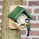 CJ Wildlife Erdnusbutterglas Haltermit Mehlürmer