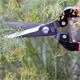 Traubenschere ARS 300L Dillernte