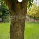 Gardigo Katzenabwehrgürtel 70 cm am Baum