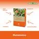 Greenfield Blumenwiese 1 Kg Vorteile