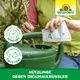 Neudorff HM-Nemtoden gegen Dickmaulrüsslerlarven Eigenschaften