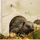 Holz-Igelhaus mit Igel