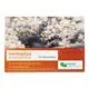 nemaplus Ameisenfrei