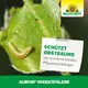 Neudorff Aurum InsektenLeim gegen Obstschädlinge