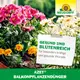 Neudorff Azet BalkonpflanzenDünger 750 g üppige Blüten
