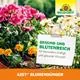 Neudorff Azet Blumendünger