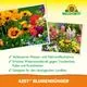 Neudorff Azet Blumendünger
