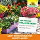Neudorff Azet DüngeSticks für Blühpflanzen prächtige Blüten