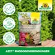 Neudorff Azet RhododendronDünger Eigenschaften