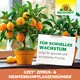 Neudorff Azet Zitrus-& MediterranpflanzenDünger flüssig aromatische Früchte