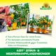 Neudorff Azet Zitrus- & MediterranpflanzenDünger Wirkung
