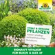 Neudorff Biokraft Vitalkur für Buxus und Ilex AF schnelle Regeneration