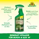 Neudorff Biokraft Vitalkur für Buxus und Ilex AF Vorteile