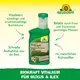 Neudorff BioKraft Vitalkur für Buxus + Ilex Vorteile
