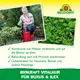 Neudorff BioKraft Vitalkur für Buxus + Ilex Wirkung