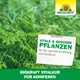 Neudorff BioKraft Vitalkur für Koniferen optimale Ernährung