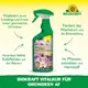 Neudorff Biokraft Vitalkur für Orchideen AF Vorteile