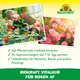 Neudorff Biokraft Vitalkur für Rosen Wirkung