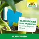 Neudorff Blau-Sticker gegen Thripe