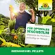 Neudorff Brennessel Pellets optimales Wachstum