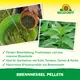 Neudorff Brennessel Pellets Wirkung