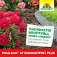 Neudorff Finalsan AF Unkrautfrei Plus 750 ml glyphosatfrei