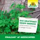Neudorff Finalsan AF Gierschfrei schnelle Wirkung