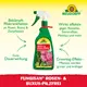 Neudorff Fungisan Rosen- und Buxus-Pilzfrei AF Vorteile