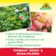 Neudorff Fungisan Rosen- und Buxus-Pilzfrei AF Wirkung