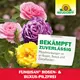 Neudorff Fungisan Rosen- und Buxus-Pilzfrei AF zuverlässige Wirkung