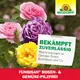 Neudorff Fungisan Rosen- und GemüsePilzfrei zuverlässige Wirkung
